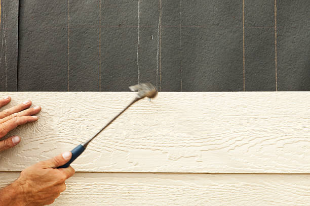 Affordable Siding Repair and Maintenance Services in Bellevue, KY